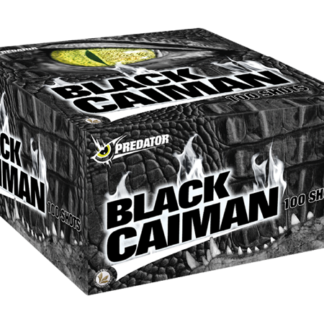 Showboxes Black Caiman