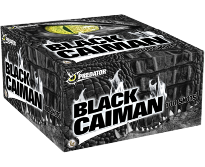 Showboxes Black Caiman