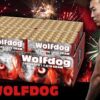 Wolfdog 130shots Compound