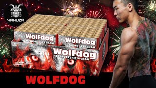 Wolfdog 130shots Compound